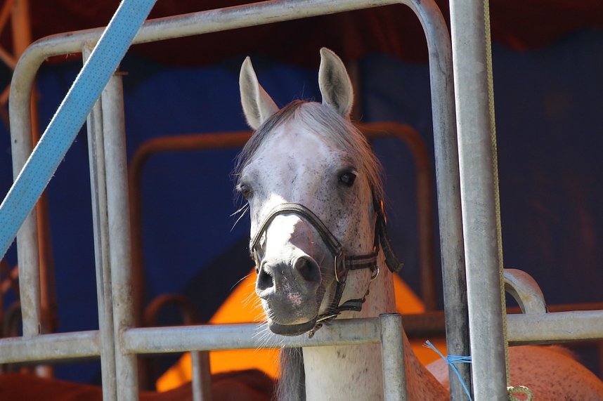 Jahresr&uuml;ckblick 2022 - Kyffh&auml;userkreis