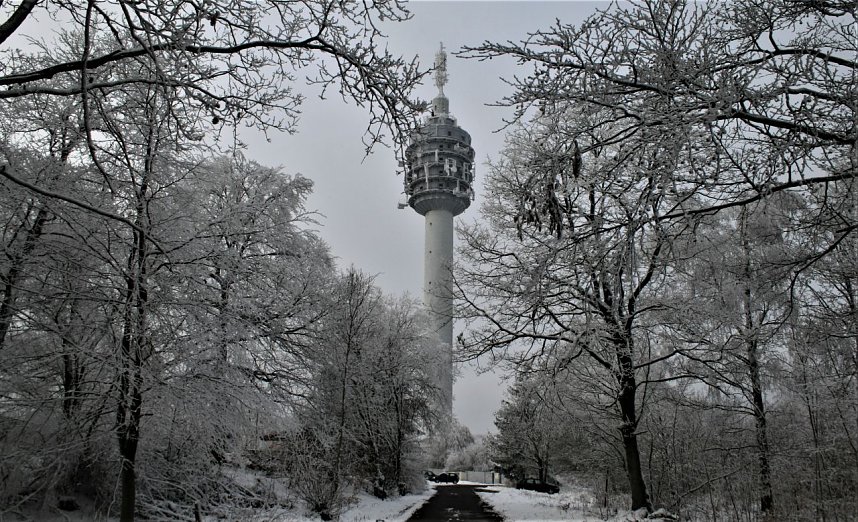 Winter im Kyffh&auml;userwald