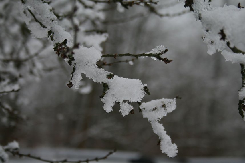 Winter im Kyffh&auml;userwald