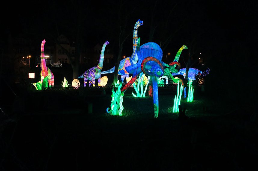 Peter Blei in den magischen Lichterwelten