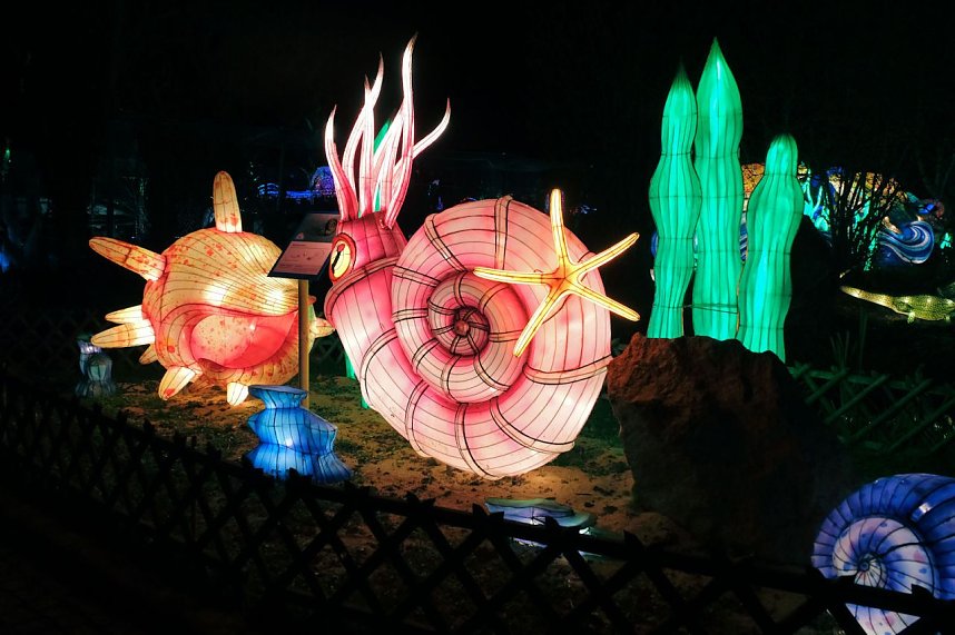 Peter Blei in den magischen Lichterwelten