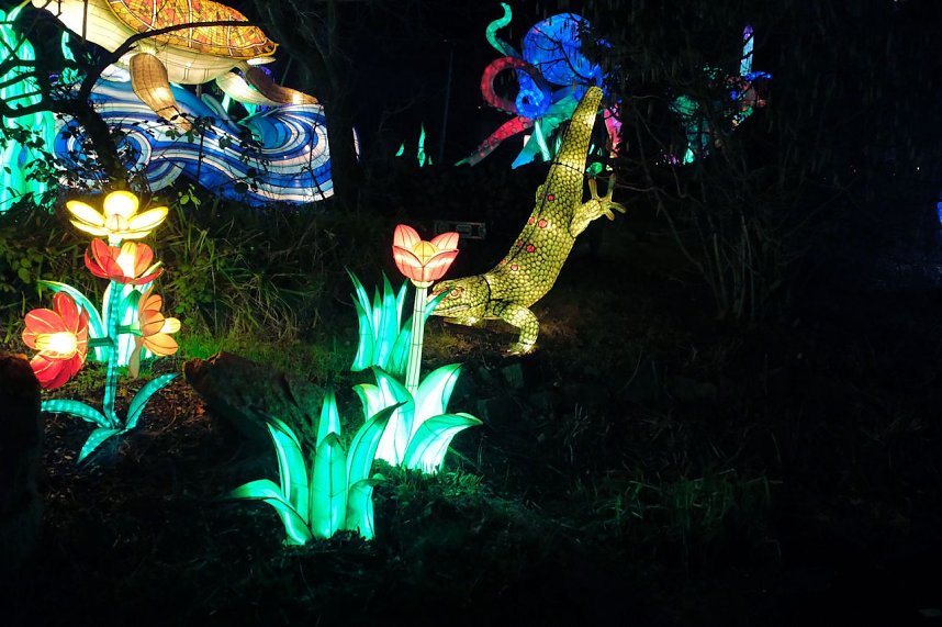 Peter Blei in den magischen Lichterwelten