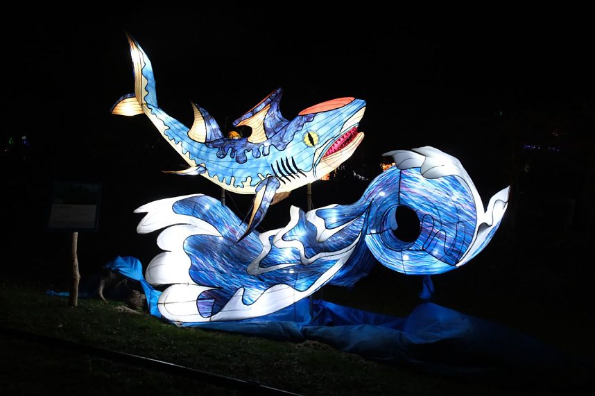 Peter Blei in den magischen Lichterwelten