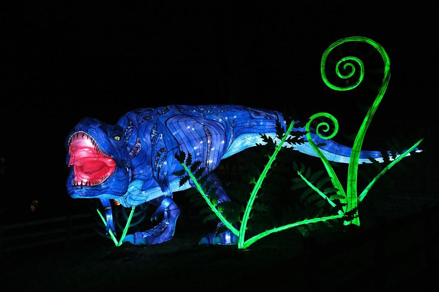 Peter Blei in den magischen Lichterwelten