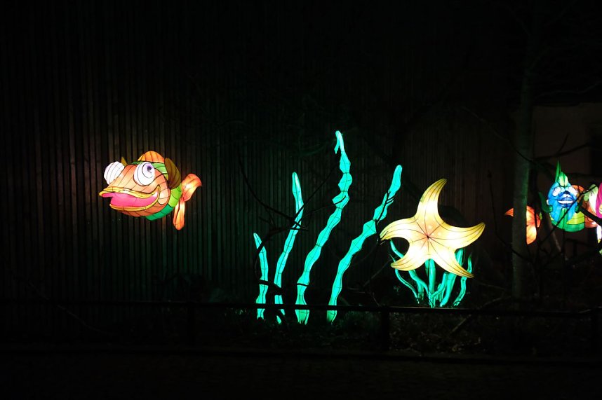 Peter Blei in den magischen Lichterwelten