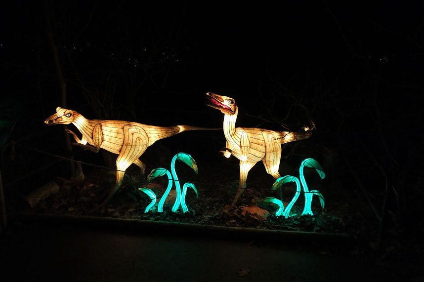 Peter Blei in den magischen Lichterwelten