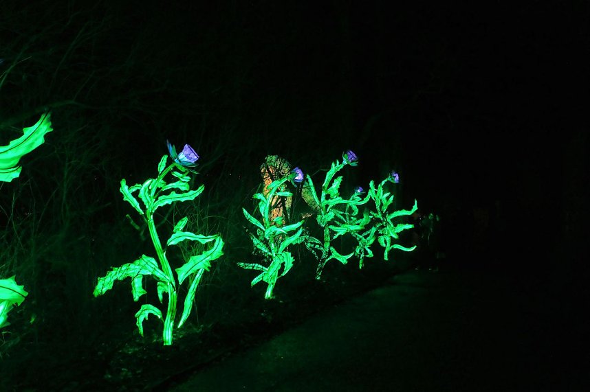 Peter Blei in den magischen Lichterwelten