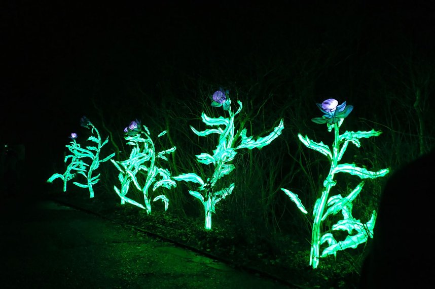 Peter Blei in den magischen Lichterwelten