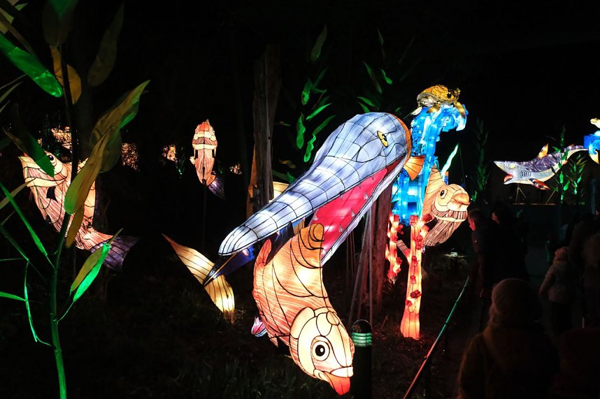 Peter Blei in den magischen Lichterwelten