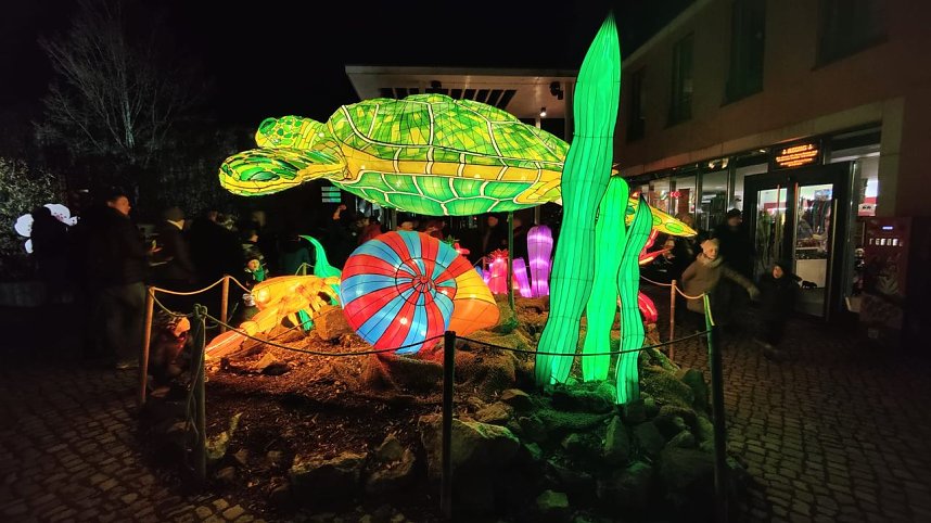 Peter Blei in den magischen Lichterwelten