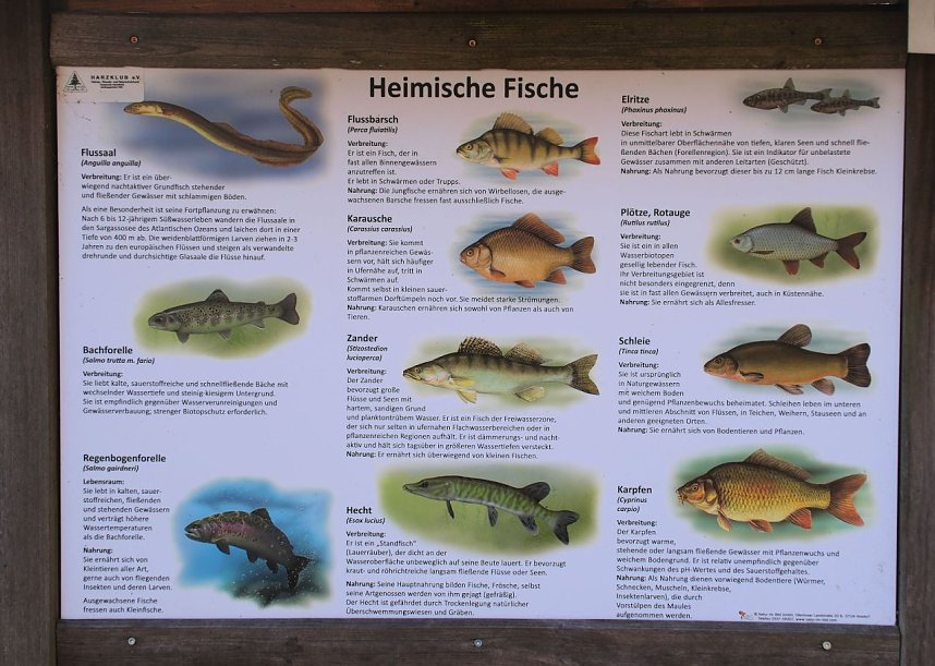 Peter Blei unterwegs an der Hasselvorsperre