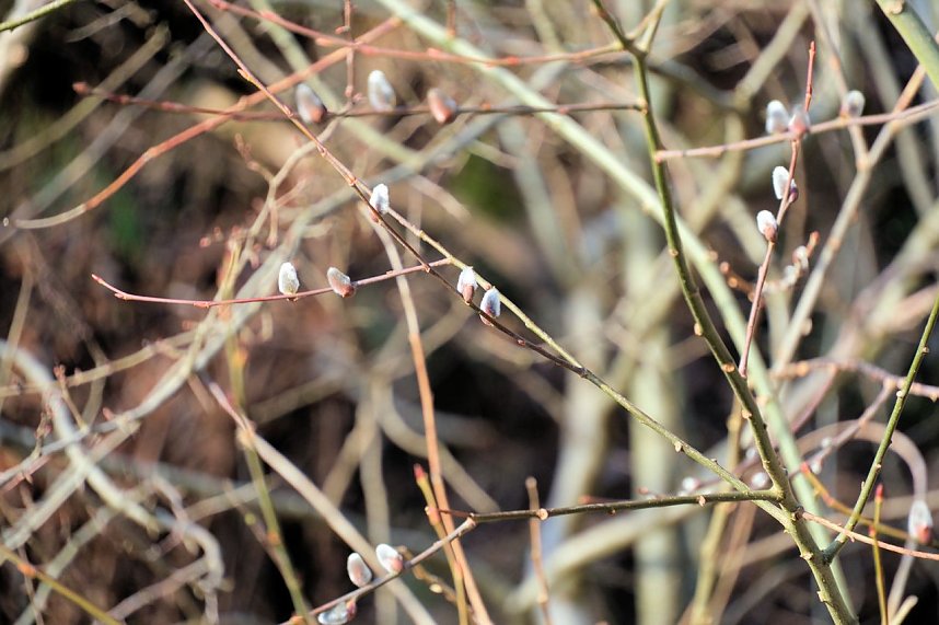 Peter Blei unterwegs an der Hasselvorsperre