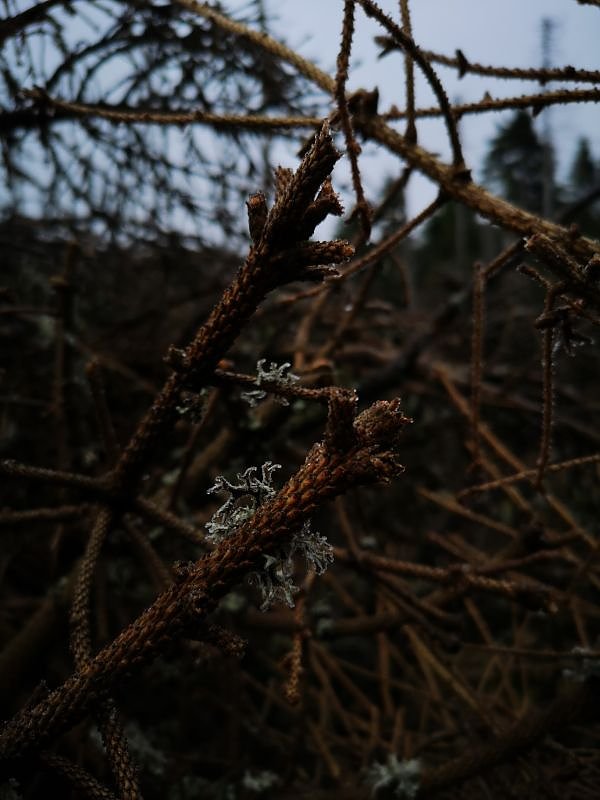 Jour Fixe im Nationalpark mit Sara Wegrzyk