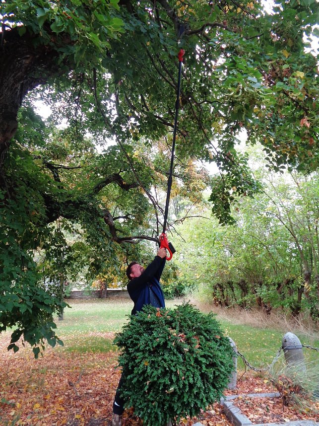 Grabstellensanierung des Familiengrabes Mackrodt in Etzleben