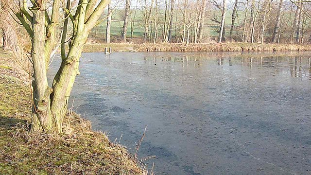 Kr&ouml;tenwanderung zum Hammateich