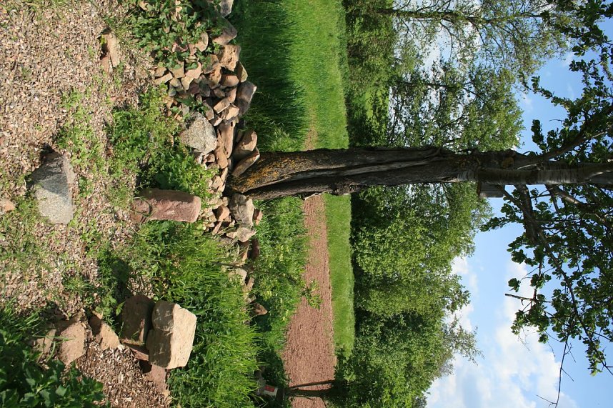 Die W&uuml;stung Lindenschu