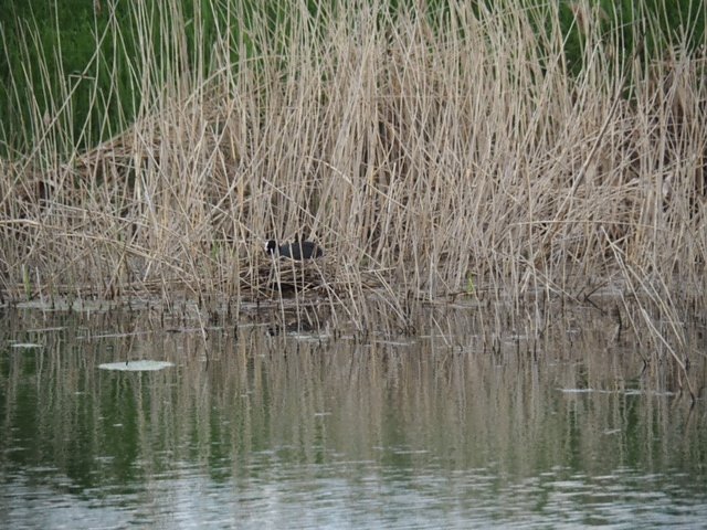 Mit der Kamera unterwegs zur Numburg