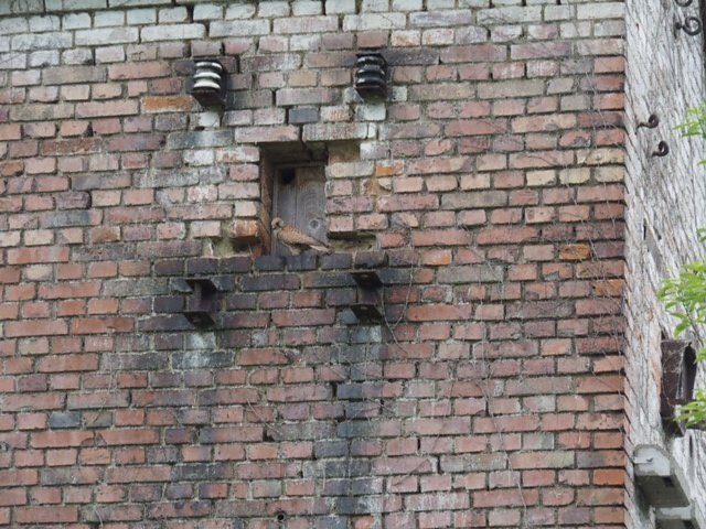 Mit der Kamera unterwegs zur Numburg