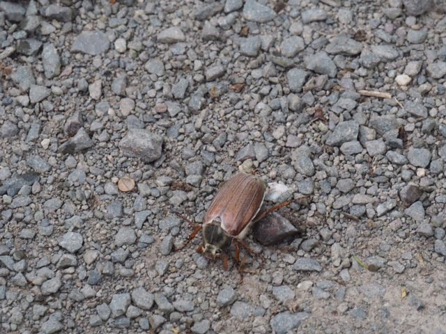 Mit der Kamera unterwegs zur Numburg