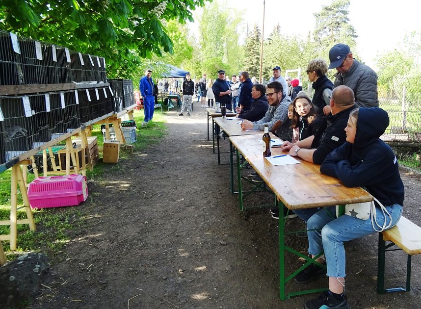 H&auml;hnekr&auml;hen in Etzleben