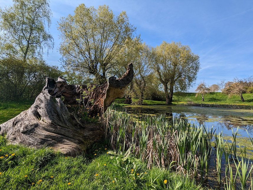 Schernberg ein besonderer Ort
