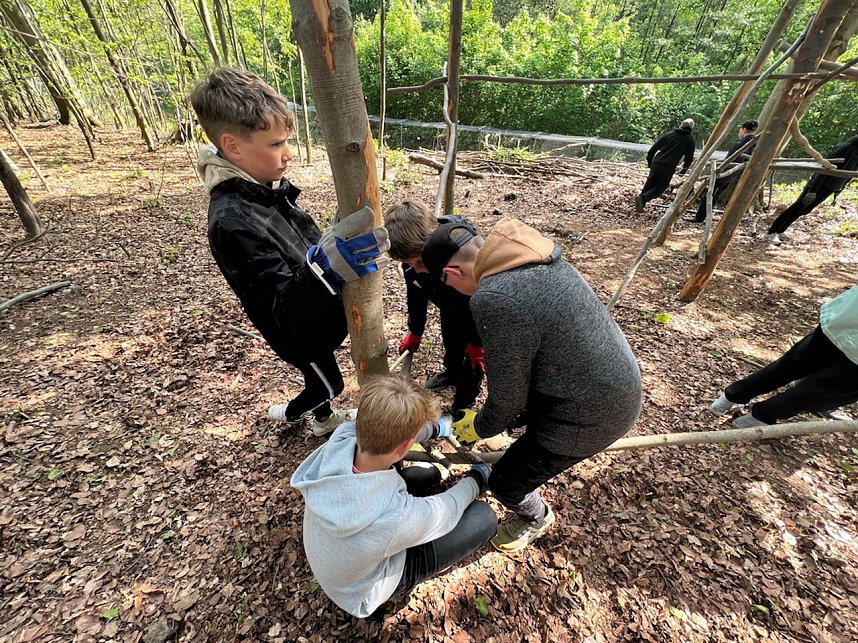Sch&uuml;lerinnen und Sch&uuml;ler der 7. Klasse der Franzbergschule bauen ein neues Kletterger&uuml;st f&uuml;r die Kattas im Affenwald Strau&szlig;berg