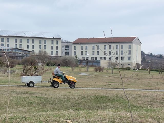 Baumpflanzung Bad Frankenhausen