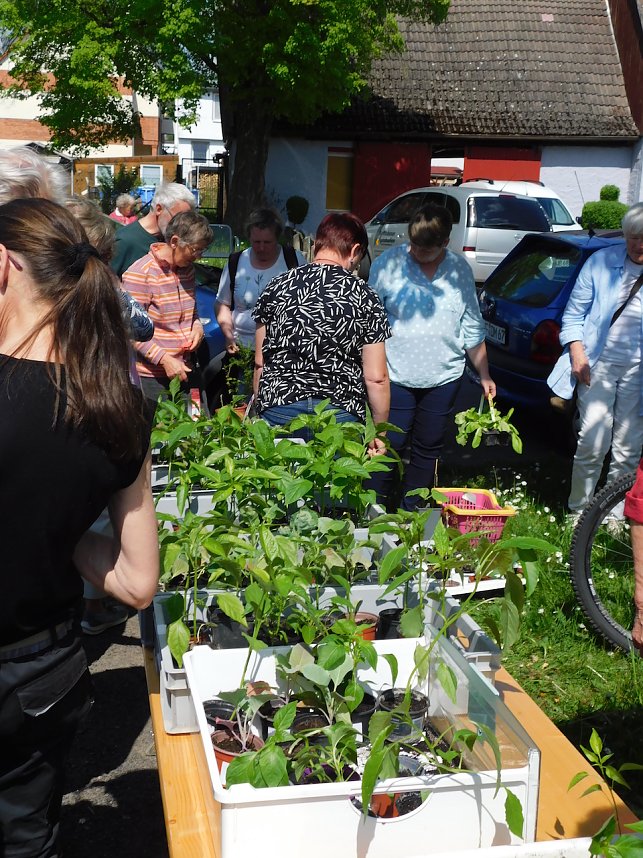 Auch die 9. Pflanzentauschb&ouml;re war erfolgreich