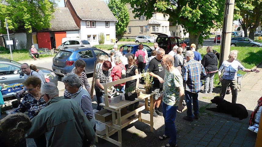 Auch die 9. Pflanzentauschb&ouml;re war erfolgreich