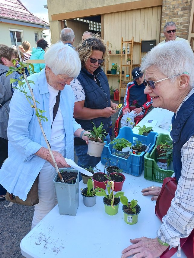 Auch die 9. Pflanzentauschb&ouml;re war erfolgreich
