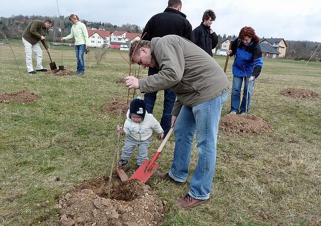 Baumpflanzung Bad Frankenhausen