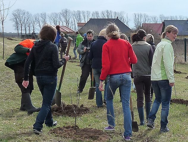 Baumpflanzung Bad Frankenhausen