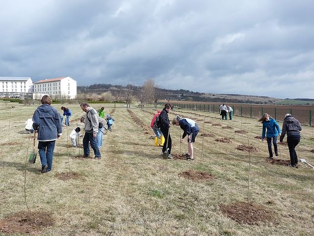 Baumpflanzung Bad Frankenhausen