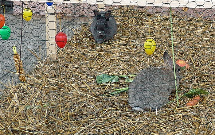 Ach du dickes Osterei