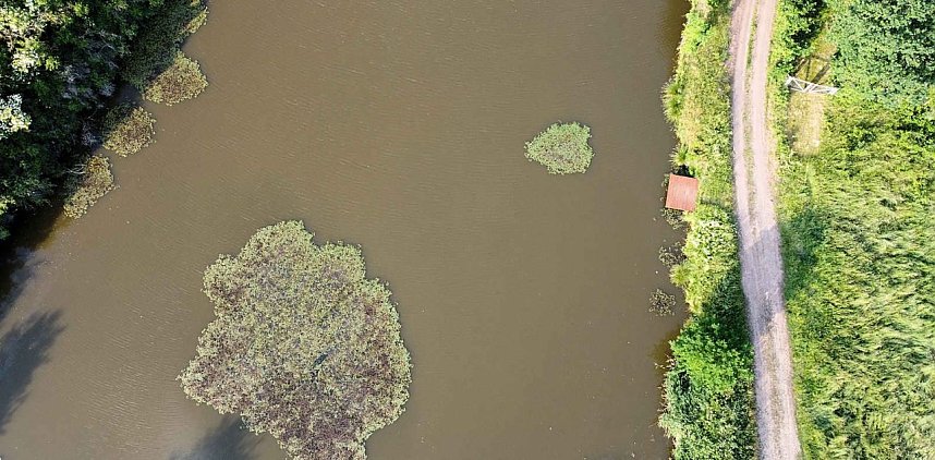 Die Wunder der Natur eingefangen von der Kamera