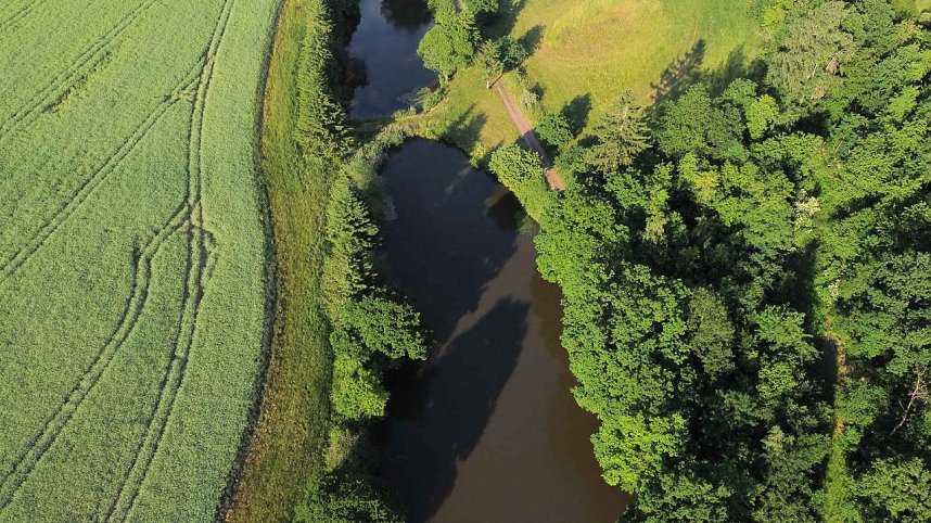 Die Wunder der Natur eingefangen von der Kamera