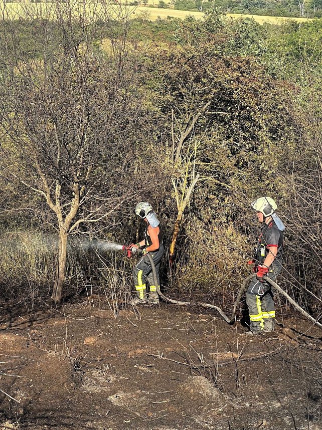Brand eines Feldes bei Reinsdrof