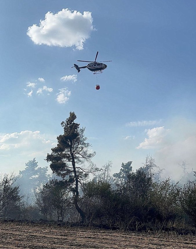 Brand eines Feldes bei Reinsdrof