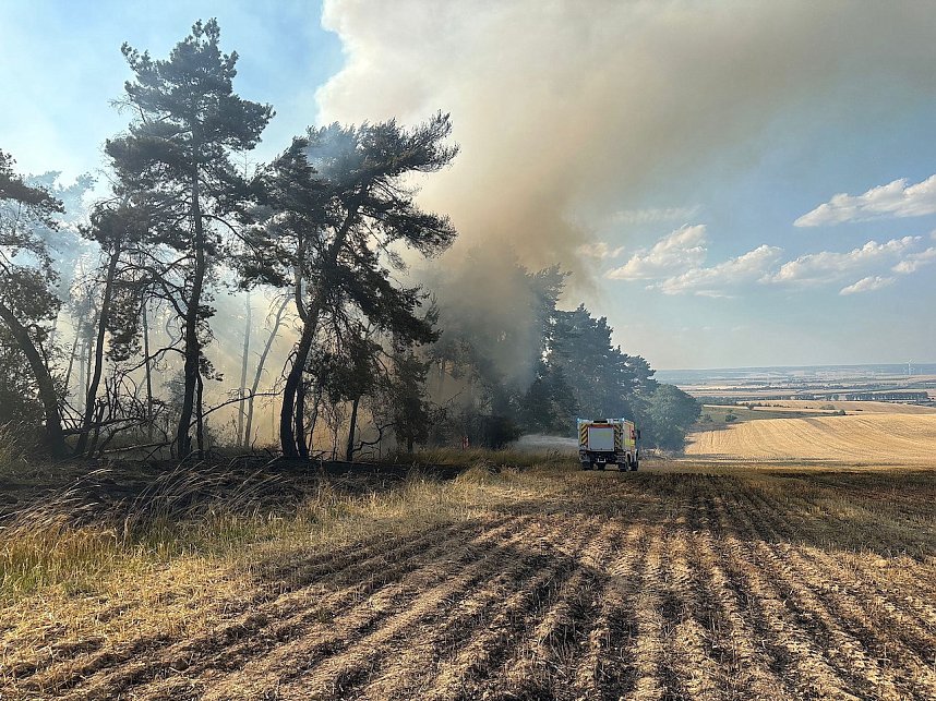 Brand eines Feldes bei Reinsdrof