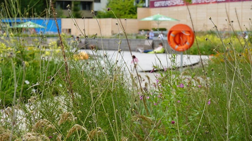 Stippvisite bei der Landesgartenschau in Bad Gandersheim