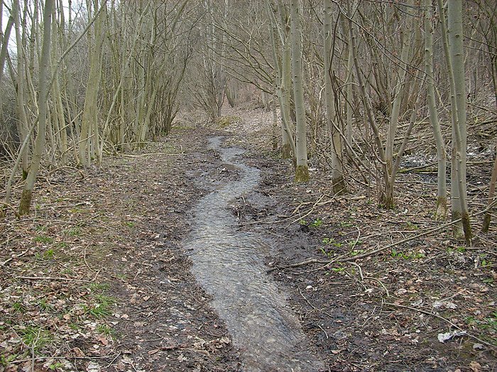 Wasser auf Wanderweg