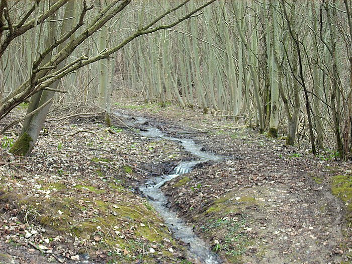 Wasser auf Wanderweg