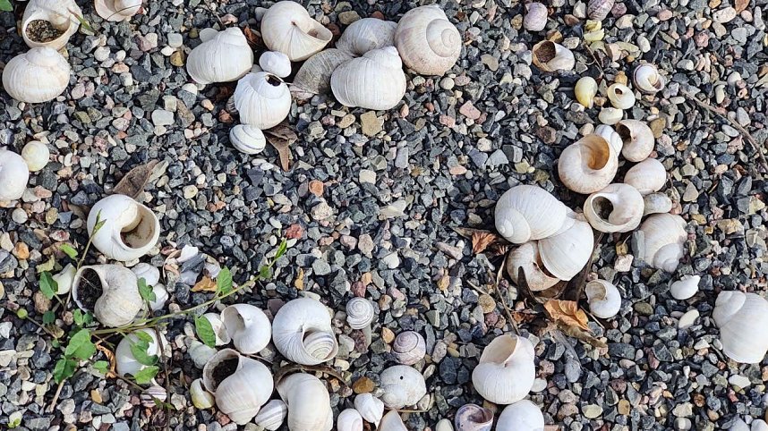 Peter Blei unterwegs im Kloster G&ouml;llingen