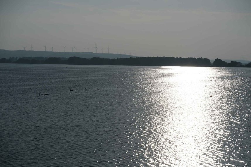 Peter Blei unterwegs im Vogelparadies