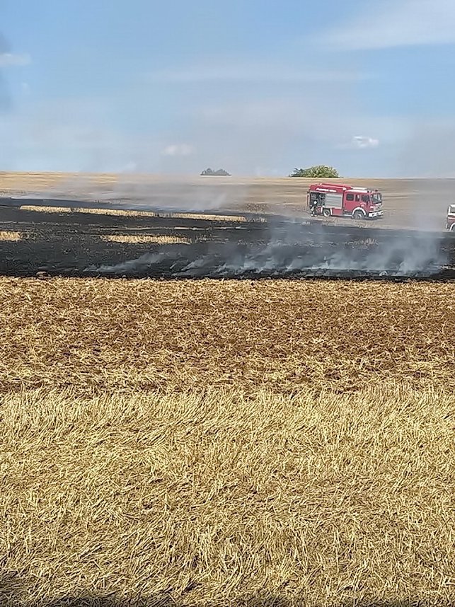 Auto setzt Stoppelfeld bei Seega in Brand 