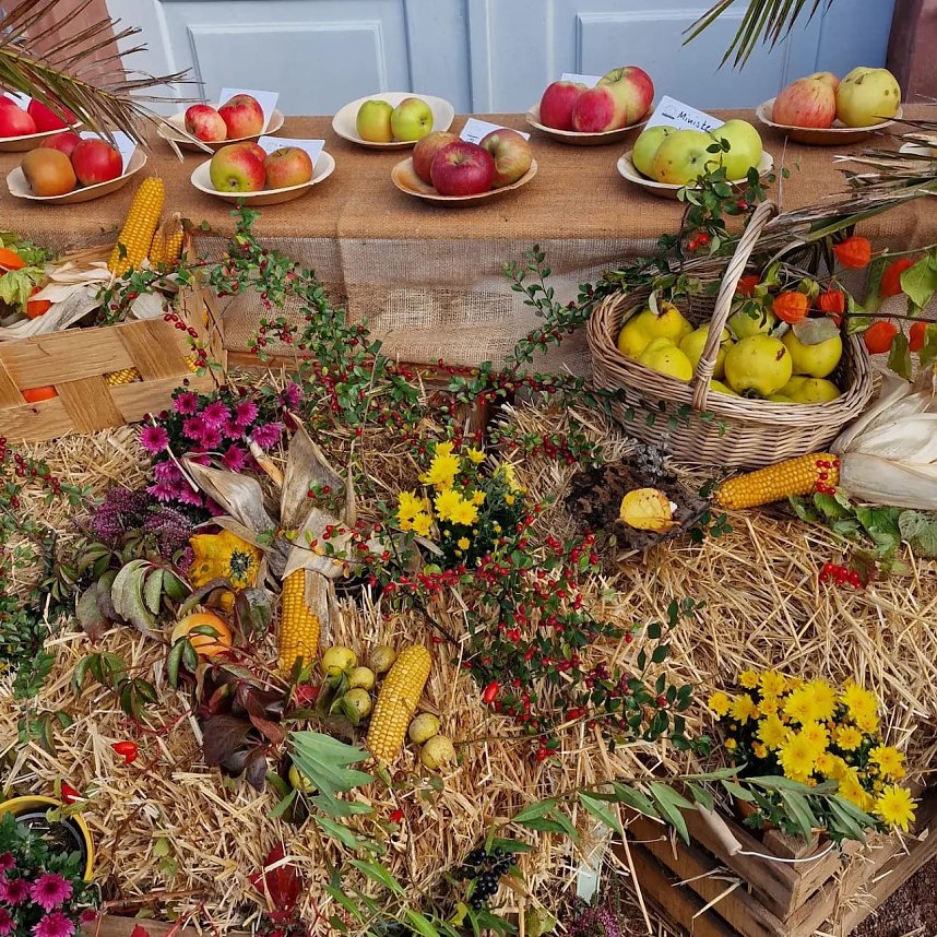 Obstsortentag ( Archiv 2022)