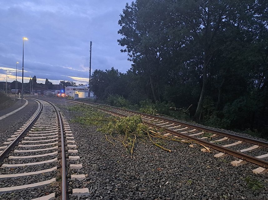 Bahn kollidiert mit &Auml;sten