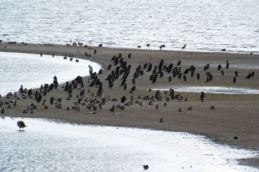 Peter Blei am neuen Aussichtsturm bei Kelbra