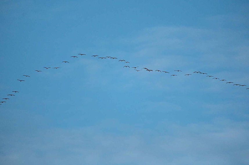 In Rothes&uuml;tte und am Stausee Kelbra