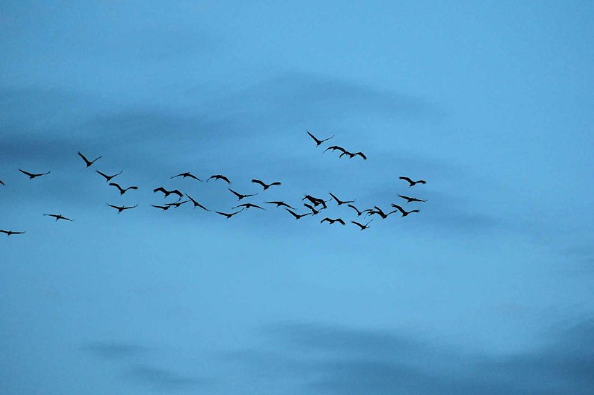 In Rothes&uuml;tte und am Stausee Kelbra